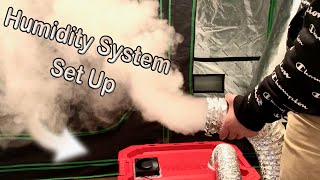 How to Build a Humidity System for Growing Mushrooms [upl. by Aminta]