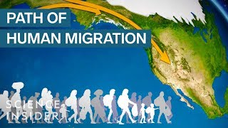 Map Shows How Humans Migrated Across The Globe [upl. by Modesty]