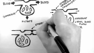 GFR 1  Control of GFR [upl. by Terrell362]