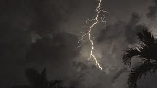 Tropical Thunderstorm amp Rain Sounds For Sleeping Relaxing  Rumbling Storm Equatorial Ambience [upl. by Peregrine267]