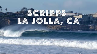 Surfing Scripps La Jolla CA [upl. by Etteve696]