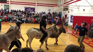 Donkey Basketball Highlights [upl. by Osnofledi]