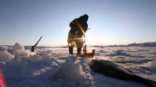 Inuit Culture in Greenland [upl. by Nalor271]