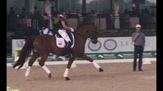 Carl Hester Masterclass Maximizing the Medium Trot in Dressage [upl. by Arline]