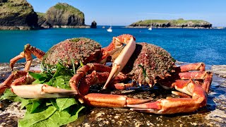 Coastal ForagingExploring  Diving for Crab amp Lobster with Beach Cook up Cornwall  The Fish Locker [upl. by Franckot147]