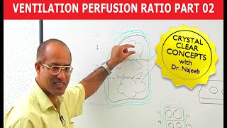 Ventilation Perfusion Ratio part 2 [upl. by Kaylyn]