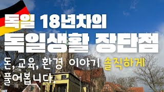 독일 이민 생활 장단점 10가지독일어 편해지고 느낀점 [upl. by Grefer]