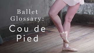 Ballet Glossary Cou de Pied [upl. by Anyer757]