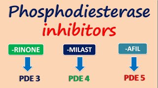 Phosphodiesterase inhibitors [upl. by Enelyar]