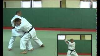 3 Heian Godan Kata Kumite Bunkai Didier Lupo [upl. by Remoh234]