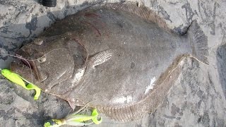 Inlet Flounder Fishing  6pound Fluke on the Rocks [upl. by February]