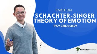 SchachterSinger Theory of Emotion [upl. by Tanner]