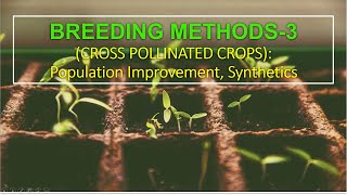 Plant Breeding Methods3 Cross pollinated Crops Population Improvement amp Synthetics [upl. by Gimpel]