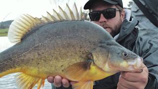 5 must have lures for Yellowbelly fishing [upl. by Clarence]