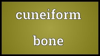 Cuneiform bone Meaning [upl. by Bina750]