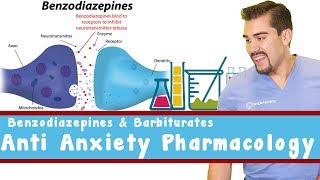 Anti Anxiety Pharmacology Benzodiazepines and Barbiturates [upl. by Lednem]