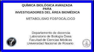 metabolismo fosfocalcico [upl. by Ivan765]