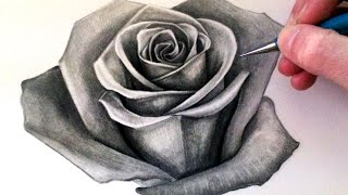 How to Draw a Rose [upl. by Valery166]