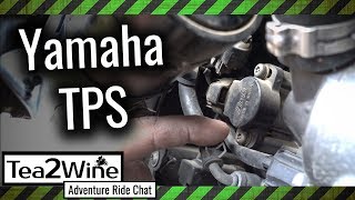 Yamaha TPS  Throttle Position Sensor problems and symptoms [upl. by Nauqed]