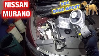 2019 Nissan Murano how to replace Dog bone Mount [upl. by Keefer271]