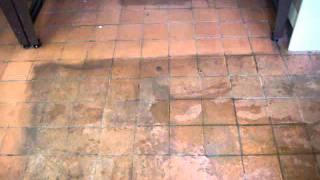 Terracotta floor tile cleaning [upl. by Kaule]