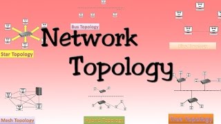 Network topologies  Bus Star Ring Mess Tree Hybrid Topologies [upl. by Wawro]