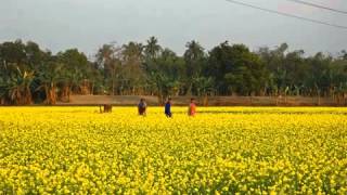 The National Anthem  Jatiyo Sangeet of Bangladesh quotAmar Sonar Bangla quot [upl. by Ianej]