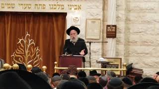 Rabbi Ephraim Wachsman Shavuos Song and Dancing 5778 [upl. by Popper]