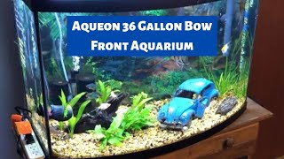 36 Gallon Bow Front Aquarium Update [upl. by Ahsieit]