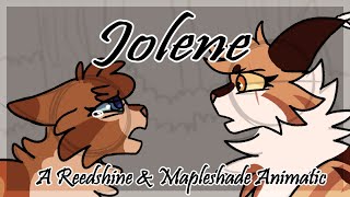 【Jolene  Reedshine amp Mapleshade  Animatic】 [upl. by Ahsikin925]