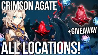 GENSHIN IMPACT ALL Crimson Agate Locations DRAGONSPINE 12 [upl. by Weissmann]