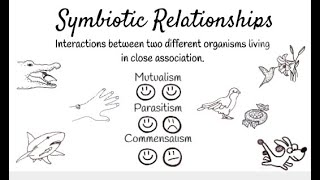 Symbiotic Relationships Short Simple Science [upl. by Eilzel]