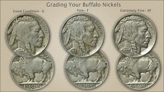 Grading Buffalo Nickels [upl. by Oisangi]