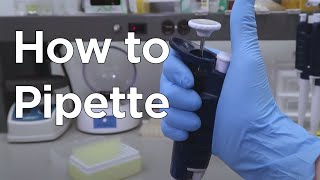 How to Micropipette  miniPCR bio™ [upl. by Yecram]