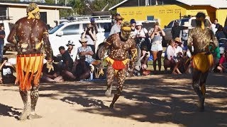 Aboriginal dancing from Wadeye 3 [upl. by Droffats]