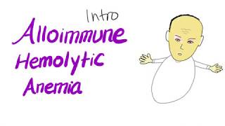 Alloimmune Hemolytic Anemia [upl. by Anallese]