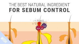 How To Control Excessive Sebum That Leads To Acne  SKINMISO Im A Helper [upl. by Rubliw]