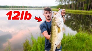 Catching My BIGGEST Bass EVER  12lber Bank Fishing [upl. by Peggir]