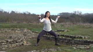 Qigong for the Water Element Nourishing Practices for Body Mind and Spirit [upl. by Novick]