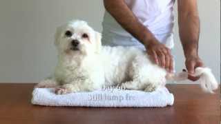 Dog vs Lump HD how to destroy cysts amp tumours [upl. by Doria]