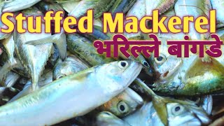 Stuffed Mackerel green masala fry  Recheado Mackerel  Bharille Bangde  stuffed fish recipe [upl. by Fonz]