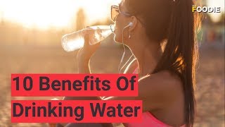 10 Benefits of Drinking Water  The Foodie [upl. by Yrrab165]