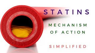 Statins Mechanism Of Action Animated [upl. by Ylyl]