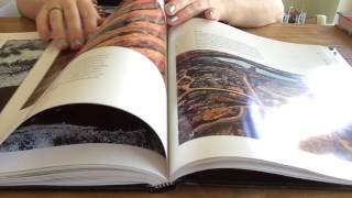 ASMR slow page turning through books with glossy pages [upl. by Bentlee]