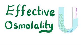 Effective Osmolality [upl. by Allehcim]