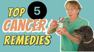 Cancer in Dogs and Cats Top 5 Natural Remedies [upl. by Iuq513]