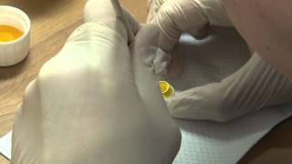 How to Make a Zirconia Crown [upl. by Eenaffit]