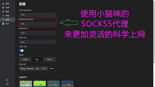 使用OpenClash的Socks5代理上网 [upl. by My]