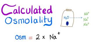 Calculated Osmolality [upl. by Anitrebla]