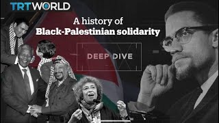 Deep Dive A history of BlackPalestinian solidarity [upl. by Deeanne851]